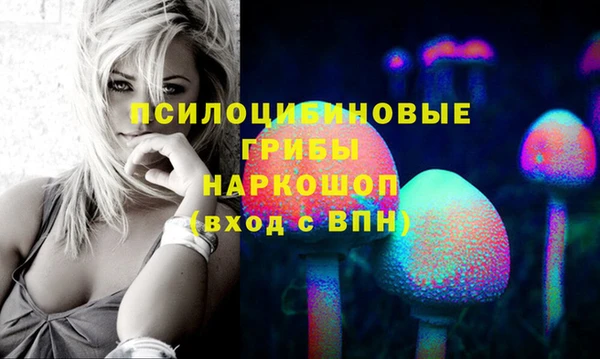 марки lsd Абаза