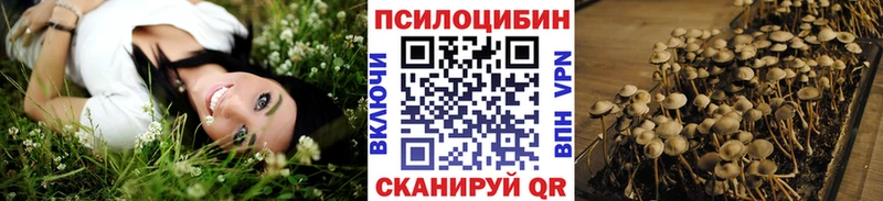 купить   Углегорск  Псилоцибиновые грибы прущие грибы 